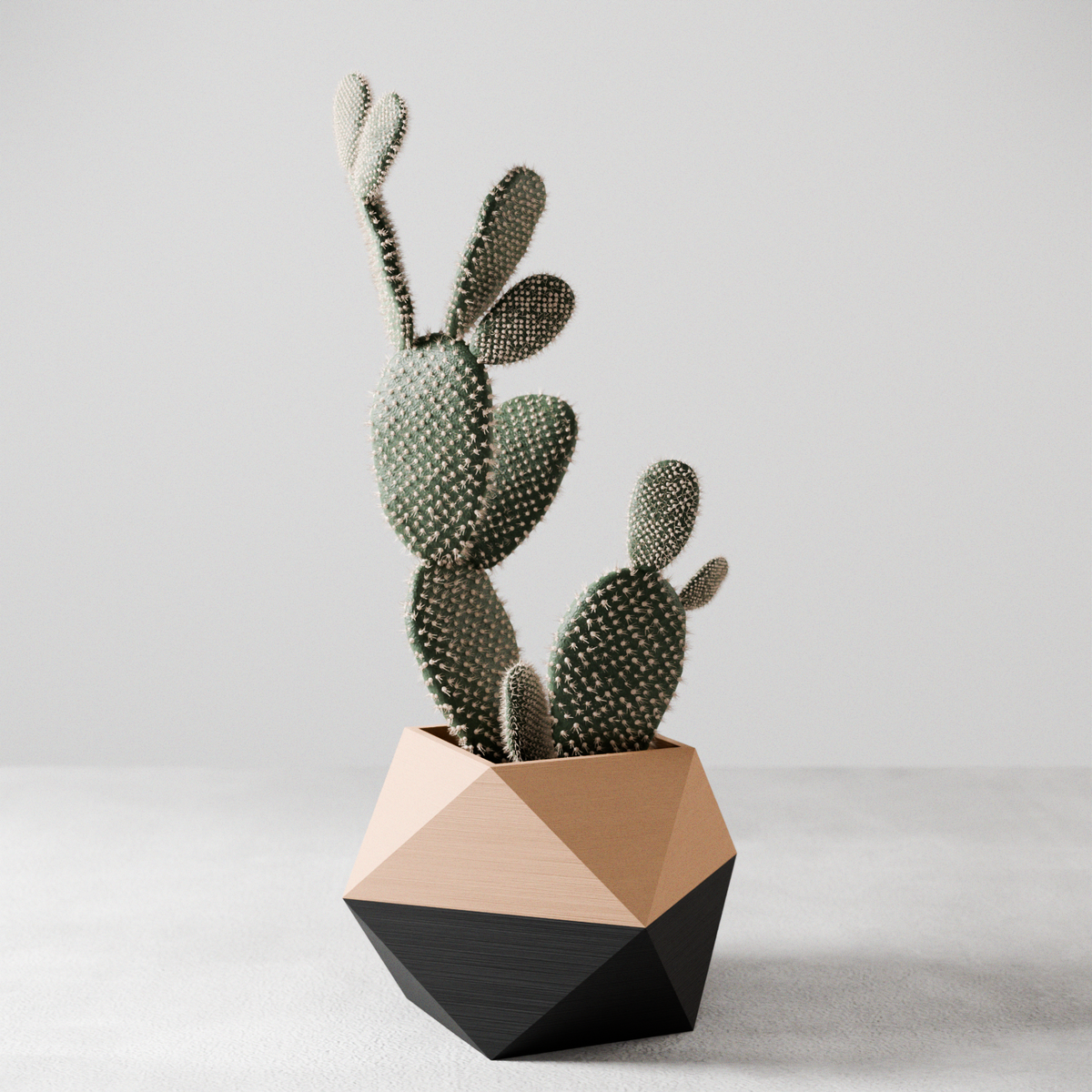 Ico Geometric Planter