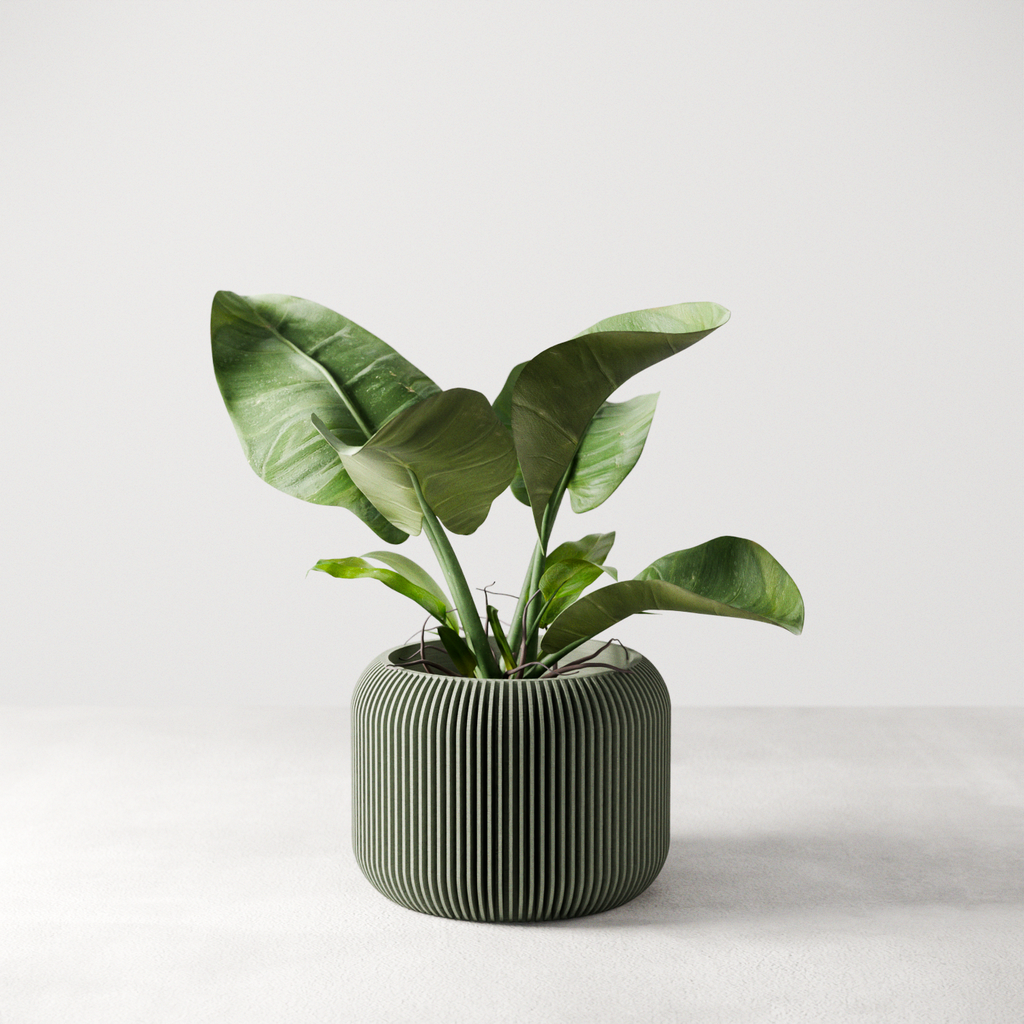 Orbis Planter