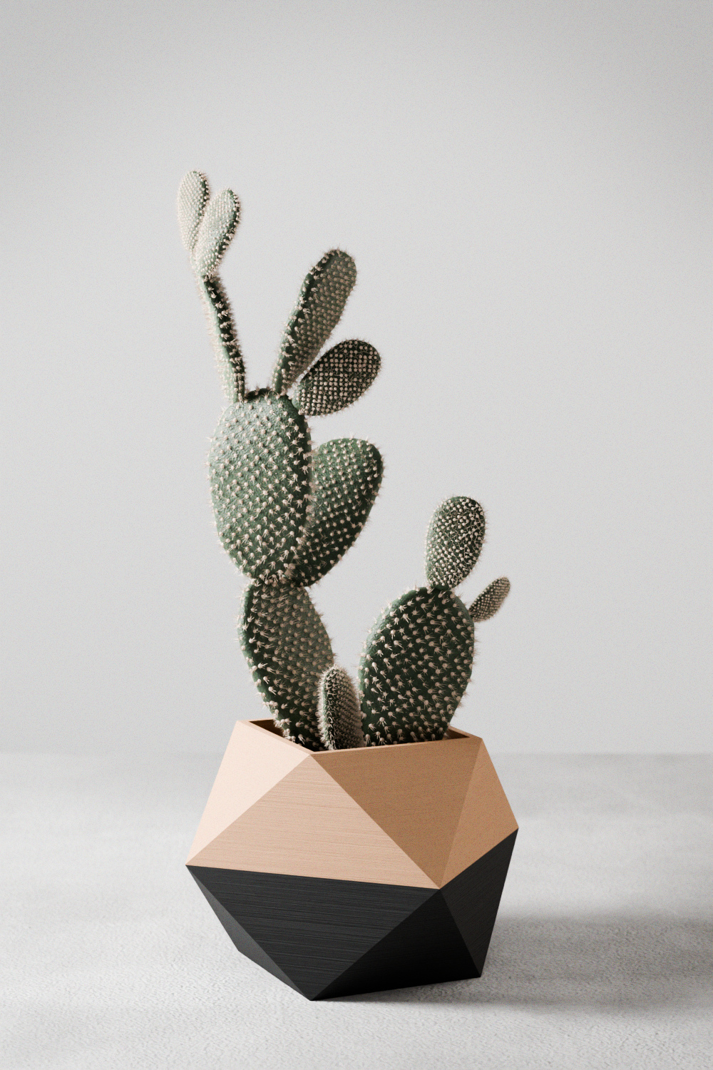 Ico Geometric Planter