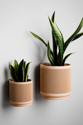 Stream Hanging Wall Planter