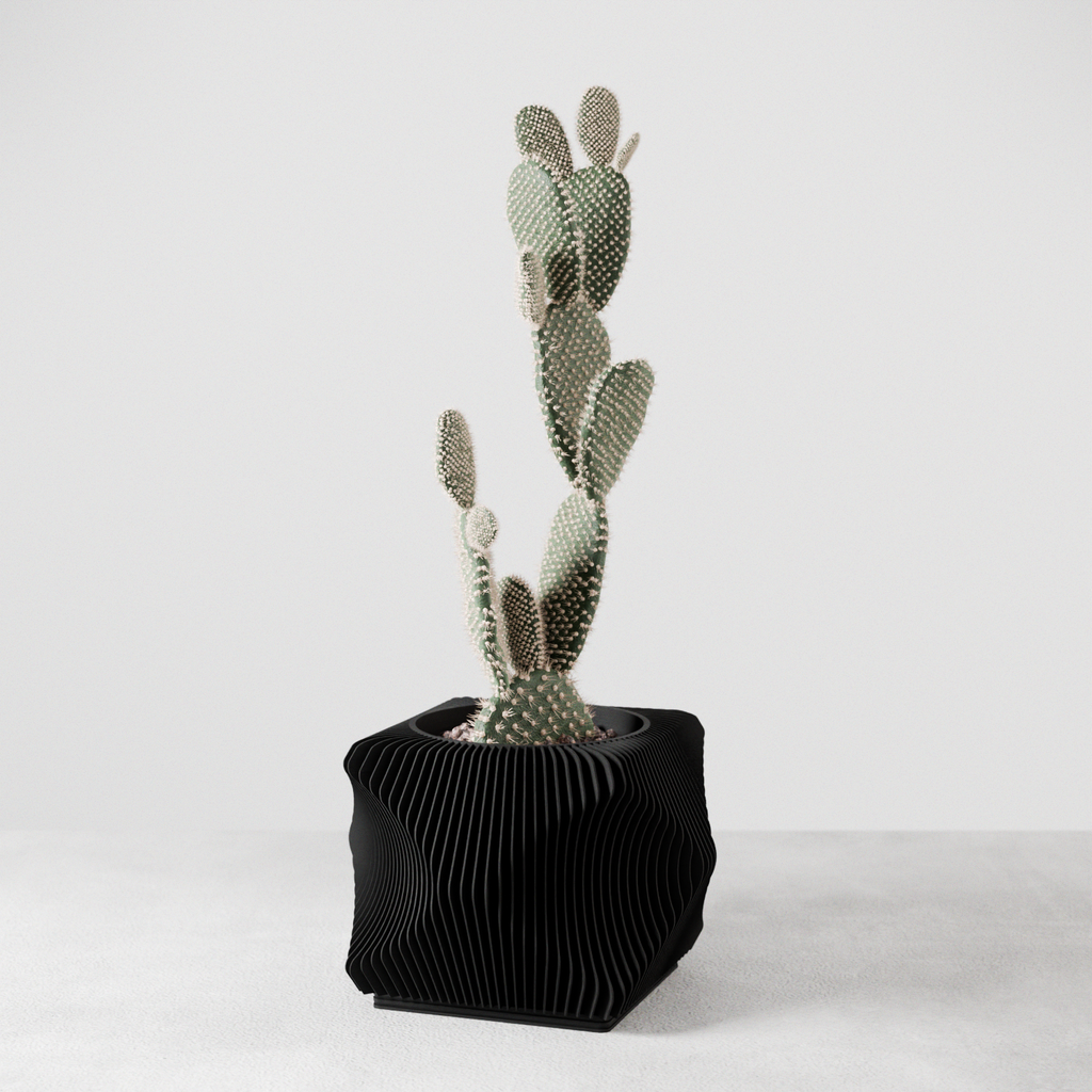 Xenova Planter